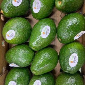 Caja Aguacates Dominicano 6 kg